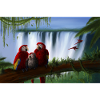 parrot family