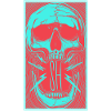 Trippy Skull