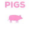 pig
