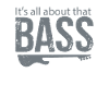 Bassist bass guitar