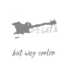 Bass guitar