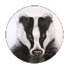 Badger /Badger
