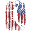 Drapeau USA Basketball