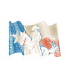 Texas cowboy