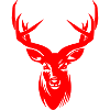 Deer antlers