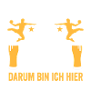 Handball Bier