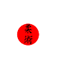 Jiu Jitsu Sonne