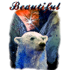 Beautiful polar bear