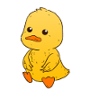 Duckling duck
