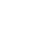 Evolution Vermesser