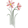 Bunte Blumen