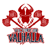 Vikings. Valhalla. Combattant.