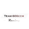 Team 600cc Motorcycle Racing