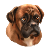 Boxer dog dog gift