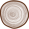 20 annual rings