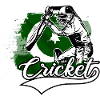 cricket cricket cricket pakistan gift
