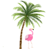 Flamingo with palm tree