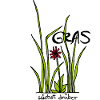 growing in grass