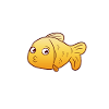 goldfish