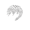 Pangolin-Liebhaber Rette den Pangolin