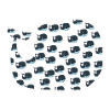 Whales