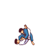Cadeau de Jiu Jitsu