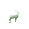 Schwarzwald Schwarzwald