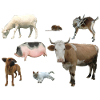 Ferme