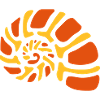 marine sea shell