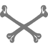 skeletal bone