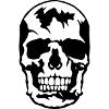 skull skeleton skull skull