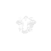Animal Liberation