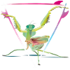 Mantis