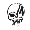 Skull skull creepy bones head