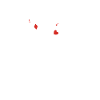 Poker Professional Poker Player