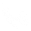 Sea Emperor Graphique transparent