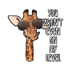 Giraffe animal animals