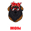 Leonberger chiens maman cadeau