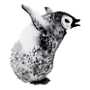 Bébé pingouin pleurant