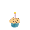 muffin