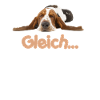 Hund Basset Gleich
