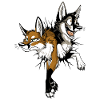 STUCK Foxes (front & back)