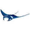 Manta ray var2
