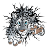 STUCK Snow Leopard / Schneeleopard (2-seitig)