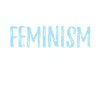 Feminism Feminist