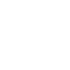 poodle