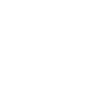 Flûte à bec