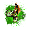 MTB Downhill VTT vert