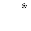 Soccer coach, trainer, soccer