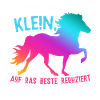 Islandpferd